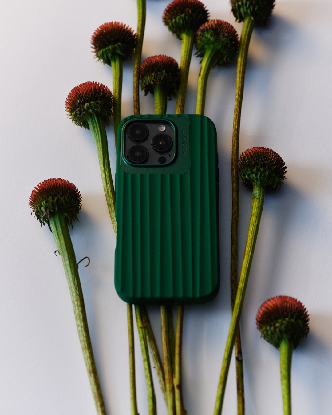 Bold Case